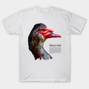 Muscovy duck head black text T-Shirt